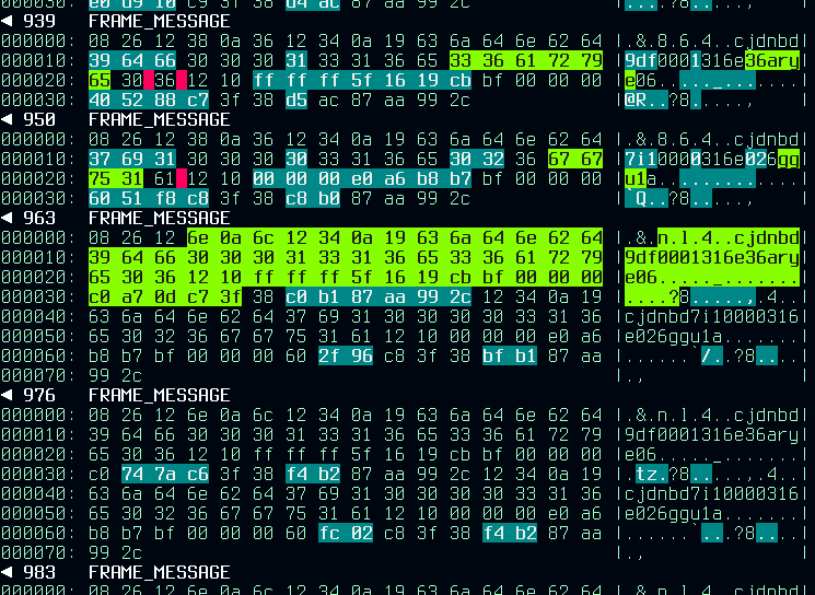 multidiff -p 8000 -i json -o hexdump