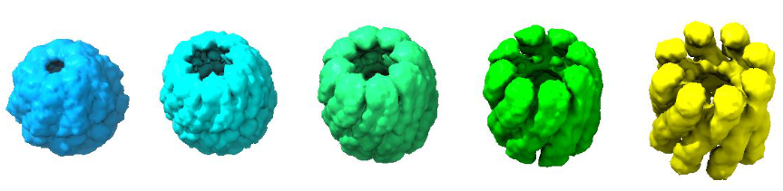 OT morphing on chaperonin