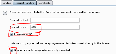 Enable Invisible Proxying for BurpSuite