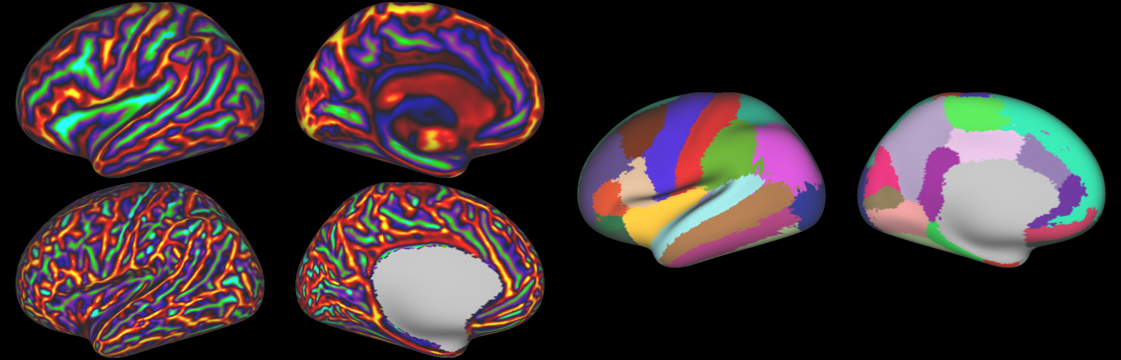 MindBoggle dataset