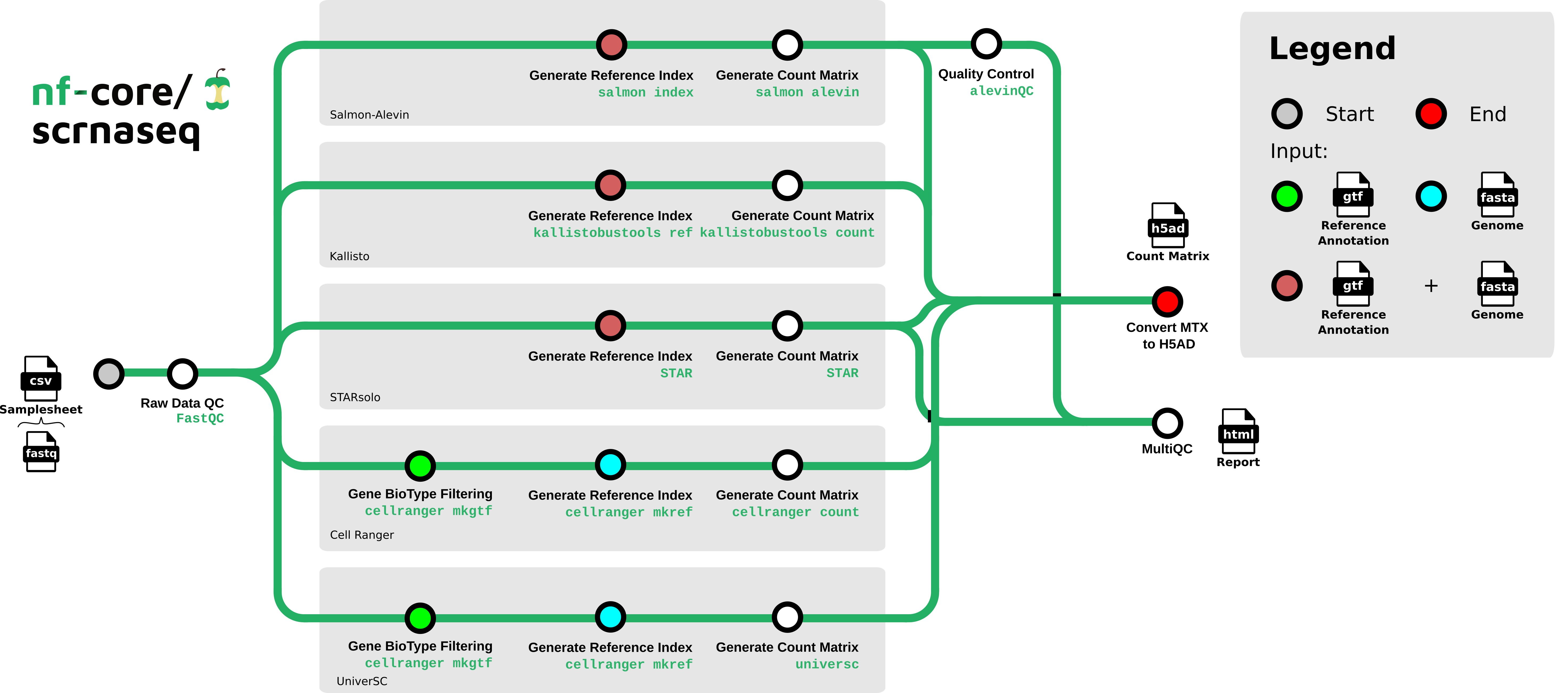 scrnaseq workflow