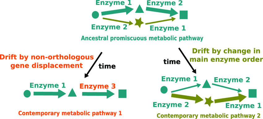 images/metabolic_pathway_drift_1.jpg