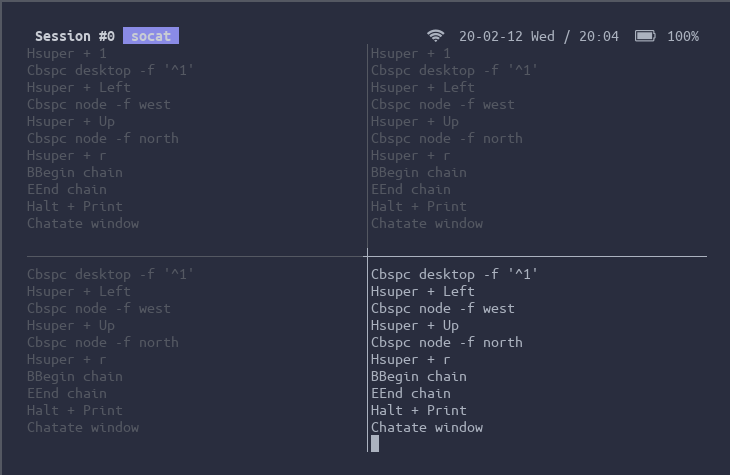 4 terminals are showing sxhkd status