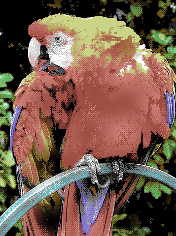 Dithered Parrot