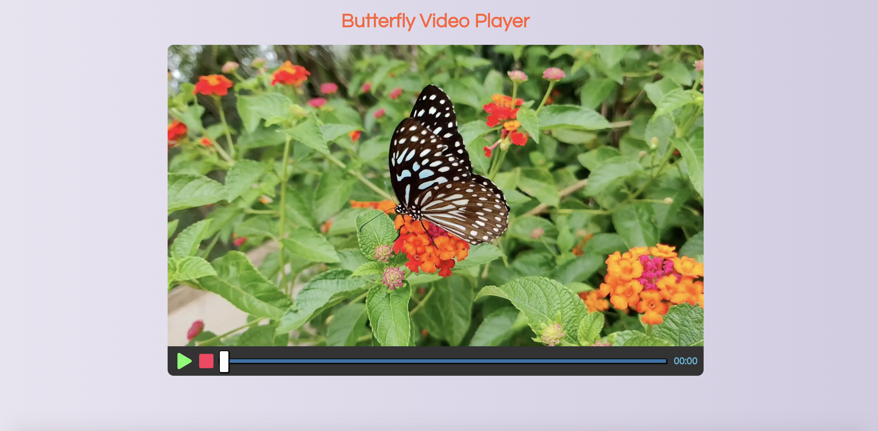 Butterfly Video Player Landing Page