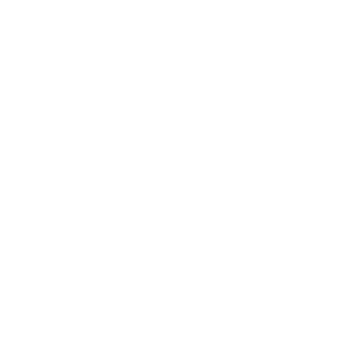 iOS Developer