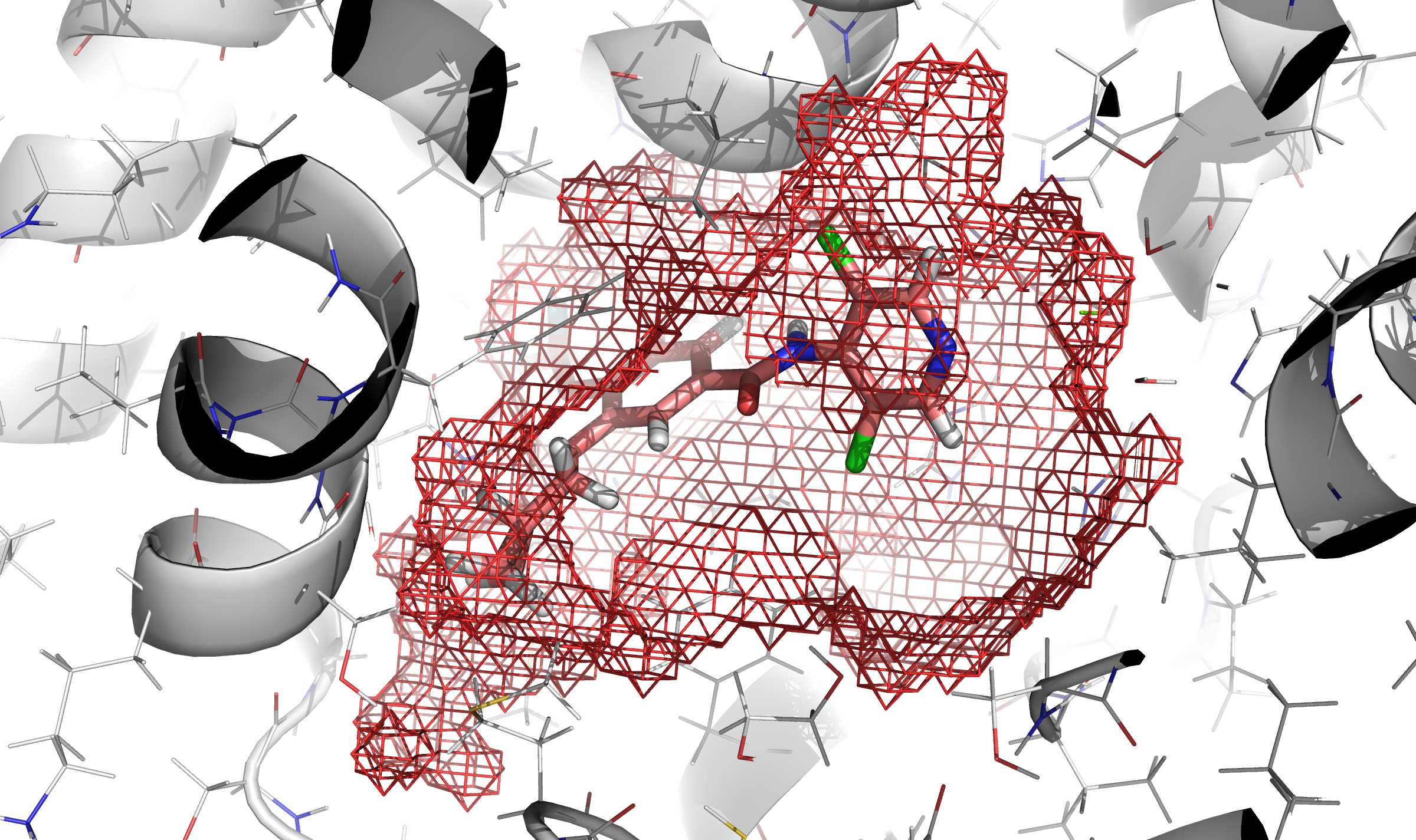 In red mesh, definition of the cavity obtained by execution of rbcavity program.