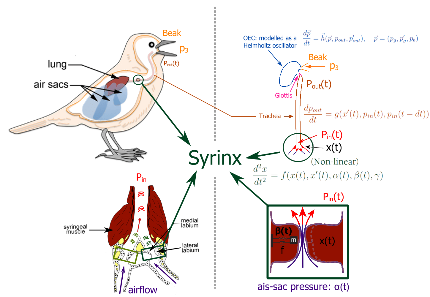 methodology