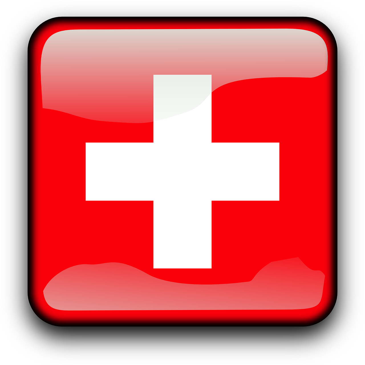 SwissFlagJButton.png This image failed to load. It may be due to the file not being reached, or a general error. Reload the page to fix a possible general error.