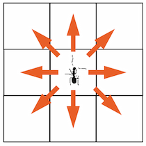 Ants can move in all directions.