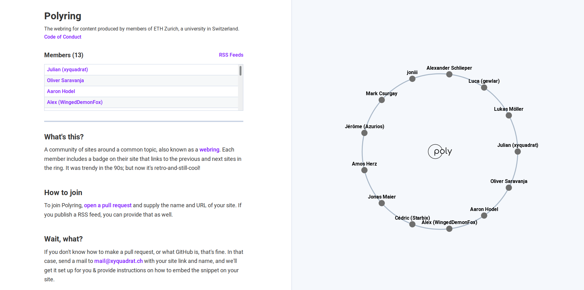 Screenshot of the polyring website