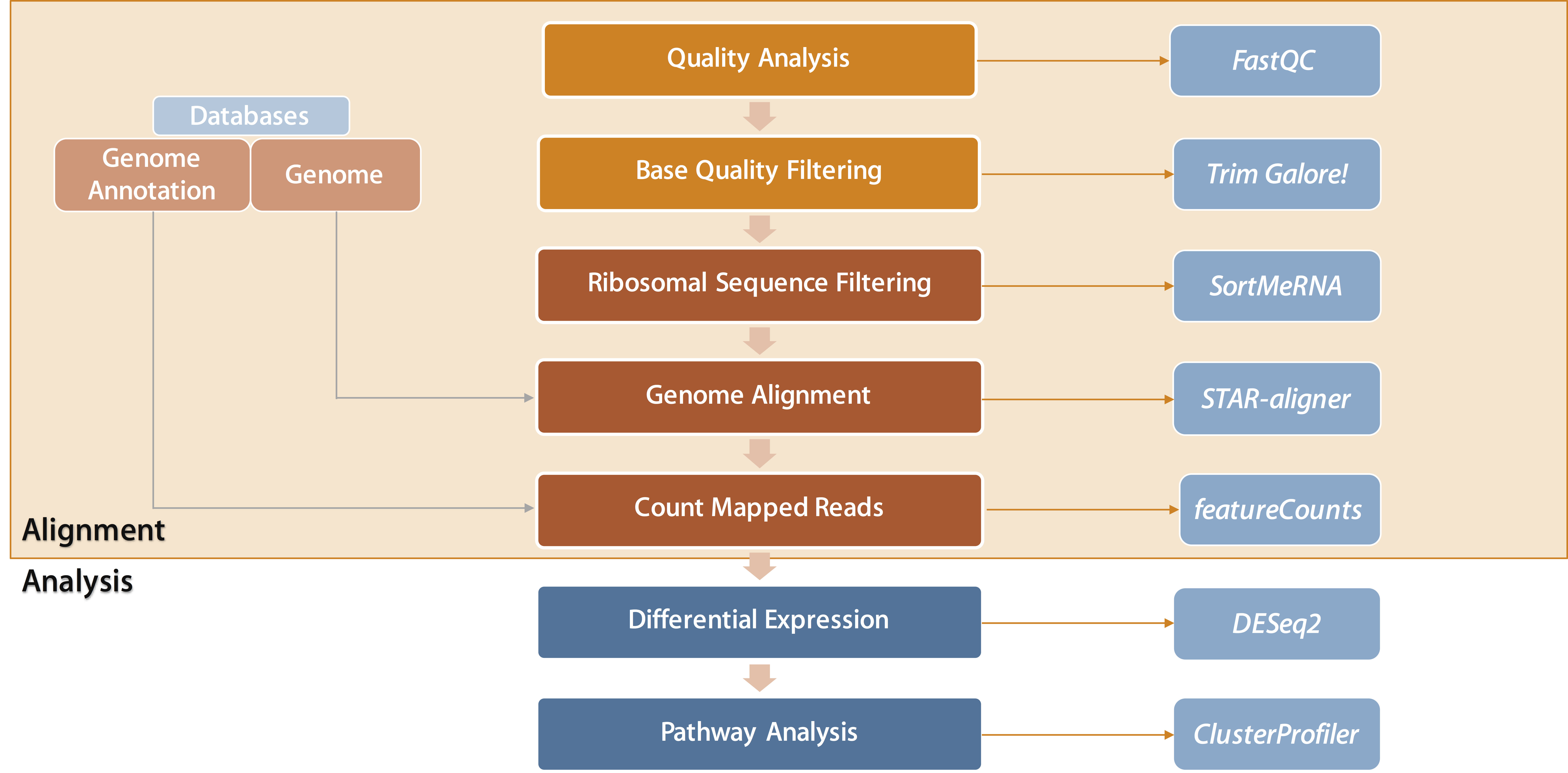 RNAseq Workflow