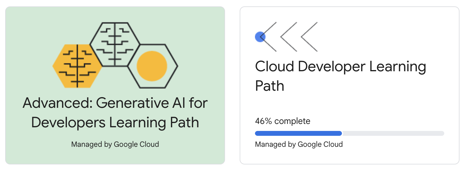 Google Learning Path