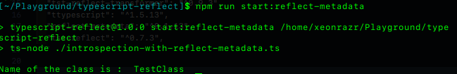 result of reflect-metadata