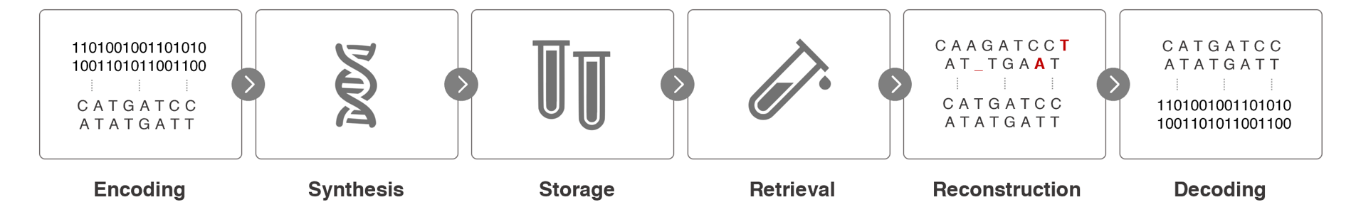 Process Overview