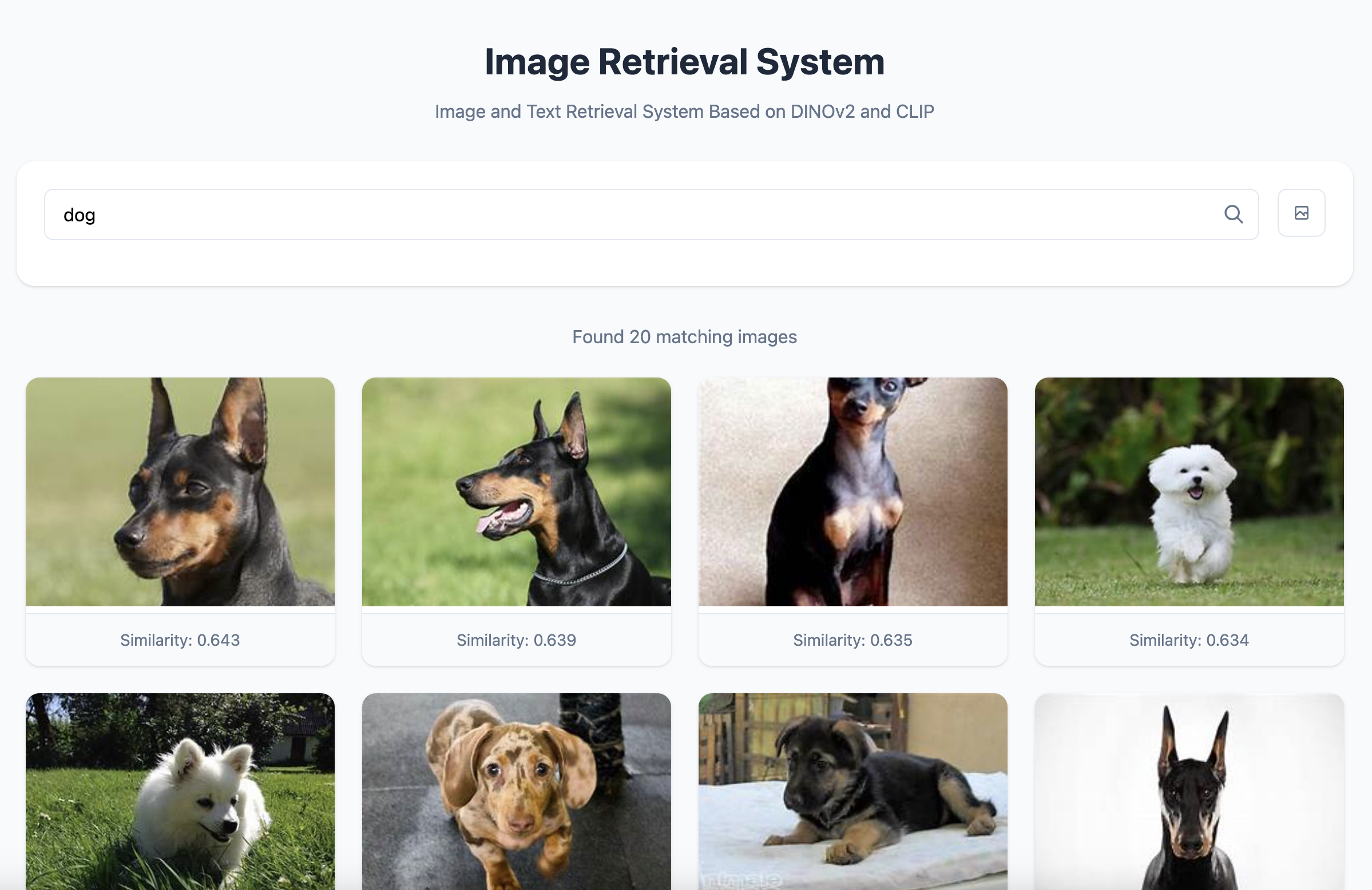 DINOv2 Image Retrieval System Interface