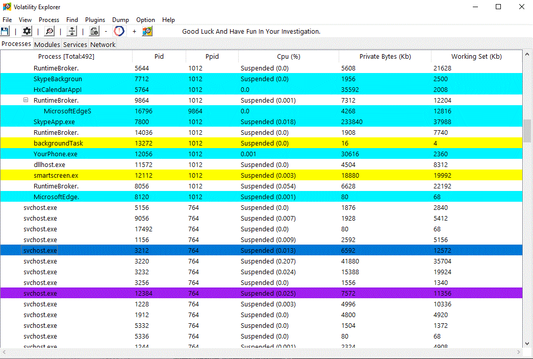 example memtriage, the colors used to identify special processes (serviceses, protected)