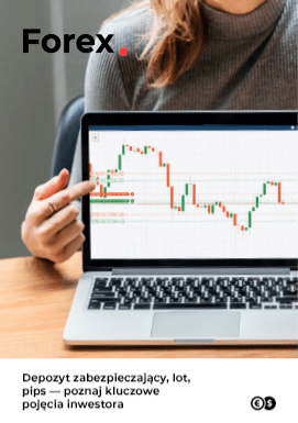 Key Terms: Margin, Lot, Pip (in Polish) cover