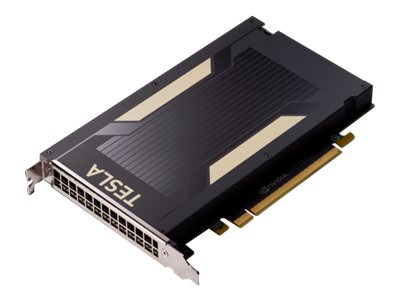 NVIDIA Tesla V100 FHHL GPU