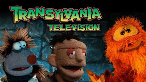 Transylvania Television thumbnail