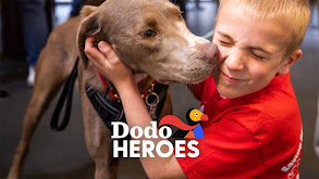 Dodo Heroes thumbnail