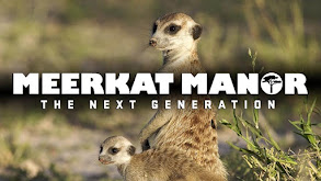 Meerkat Manor: The Next Generation thumbnail