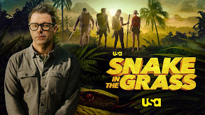 Snake in the Grass thumbnail