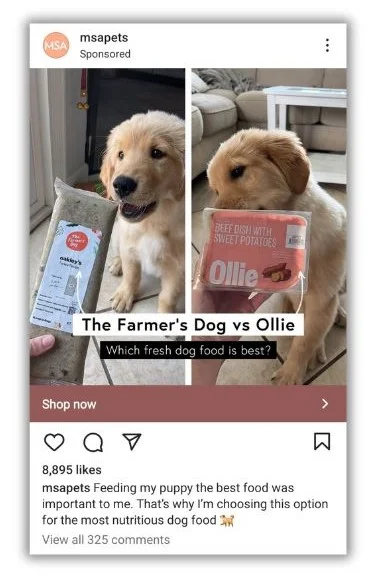 Instagram ad examples - Instagram ad from MSA Pets.