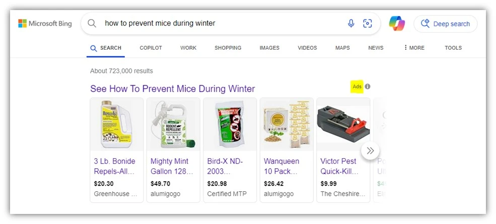 microsoft ads serp example