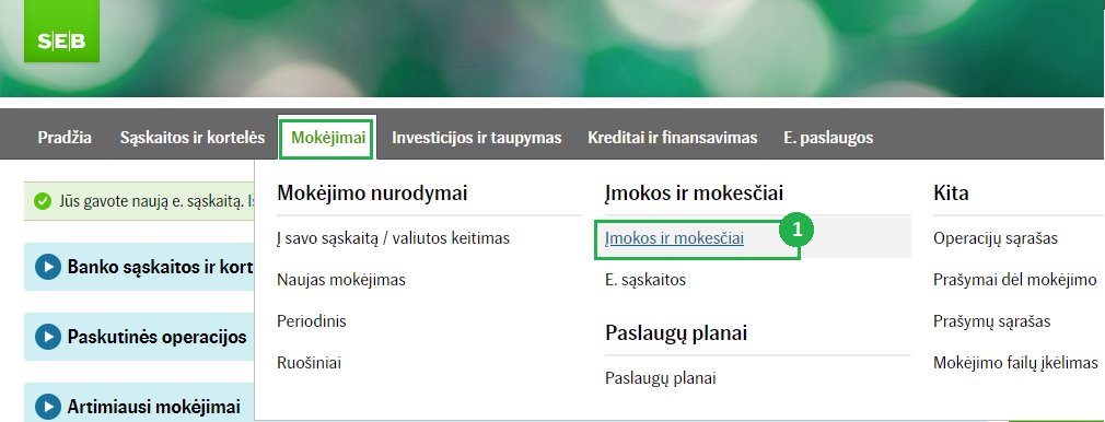Pirmojo žingsnio SEB banko sistemoje vaizdas