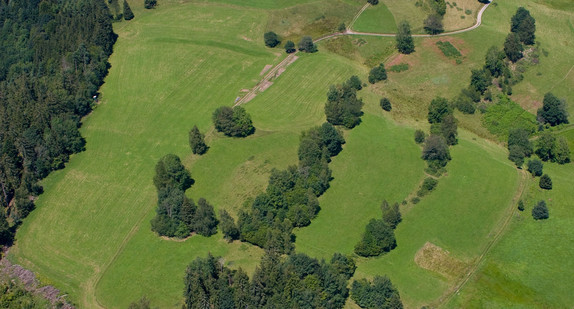 Grünlandflächen sind landwirtschaftliche Flächen, auf denen überwiegend Gras oder krautige Pflanzen angebaut werden. (Bild: Benjamin Waldmann)