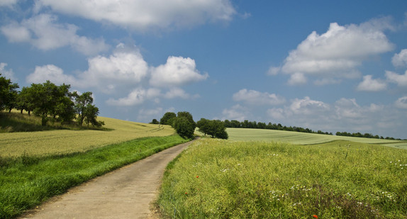 Landwirtschaftlicher Weg