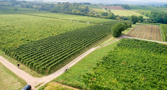 Garten- und Weinbau