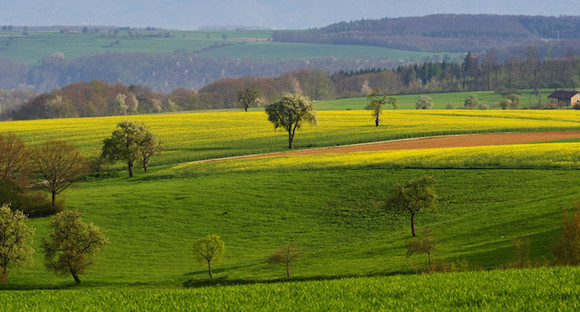 Flurneuordnung in Baden-Württemberg