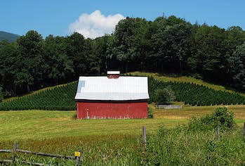 Red Barn surrounded by green grass and trees