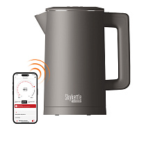 Умный чайник REDMOND SkyKettle KM231S (серый)