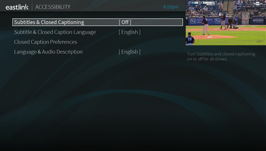 TiVo Stream Accessibility screen.