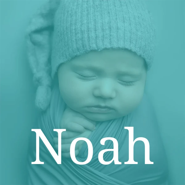 Baby Noah