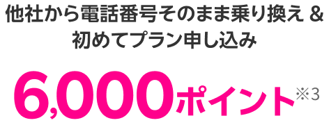 他社から電話番号そのまま乗り換え&初めてプラン申し込み 6,000ポイント※3