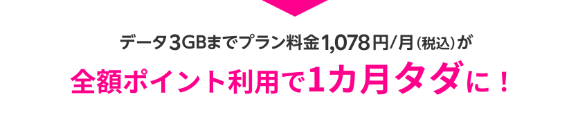 データ3GBまでプラン料金1,078円/月（税込）が全額ポイント利用で1カ月タダに！