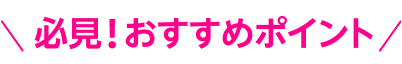 必見!おすすめポイント