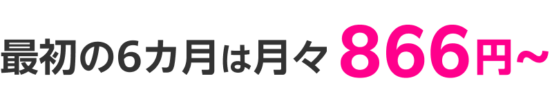 最初の6カ月は月々 866円~