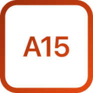 A15