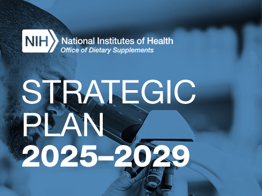 screen capture cover of the ODS Strategic Plan 2025-2029