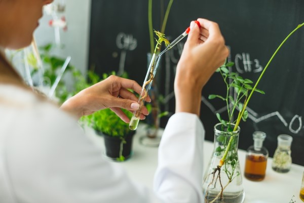 female scientist looking a plant sprig