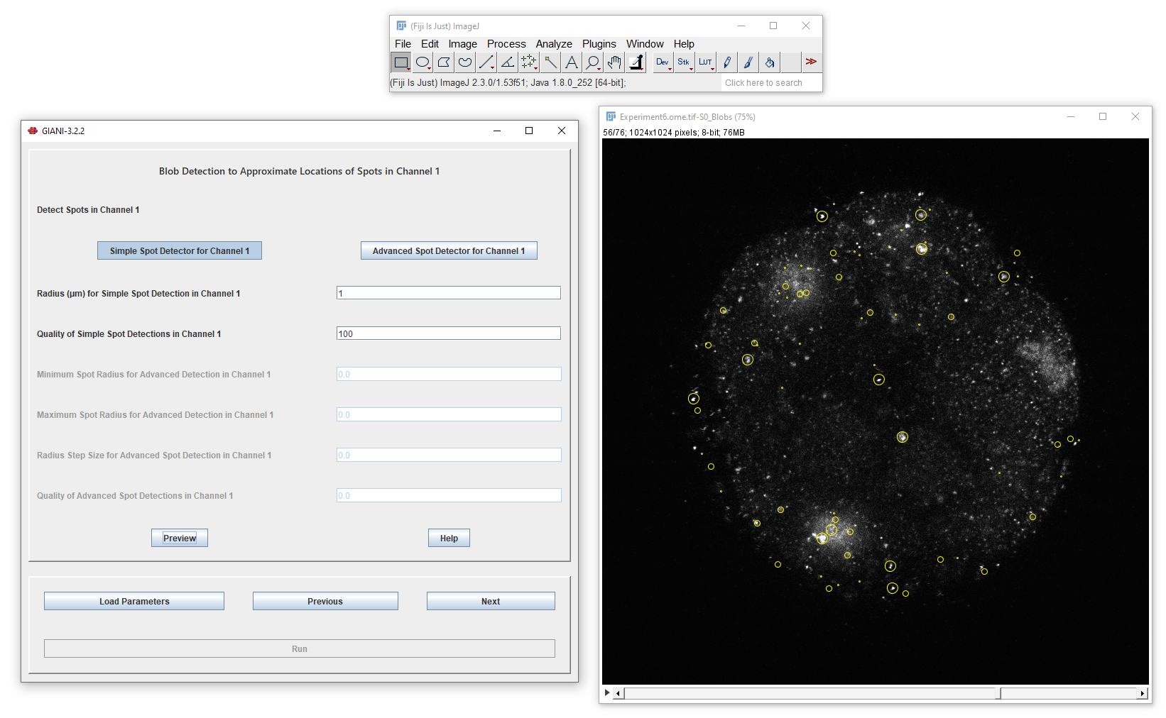 GIANI Detect Spots Preview