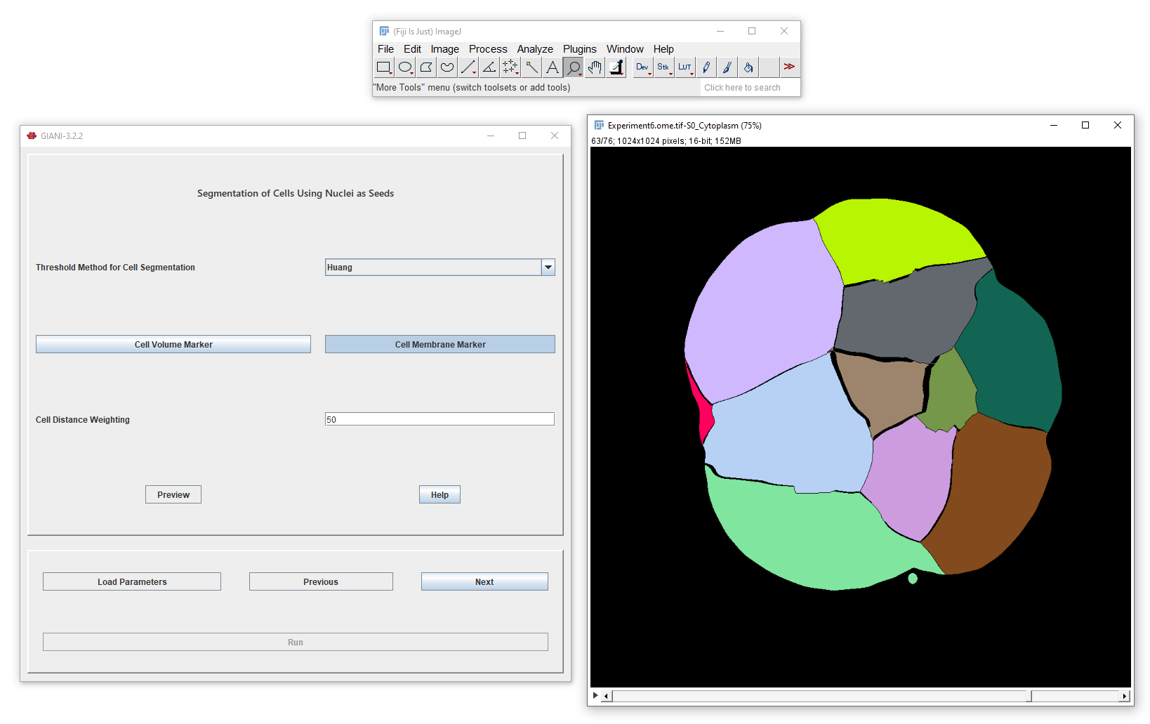 Cell Segmentation Preview