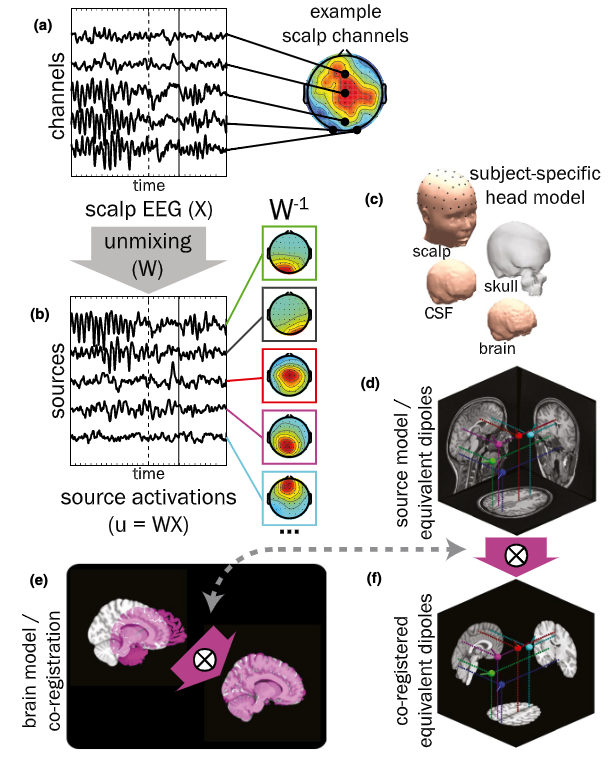 eeg_commander