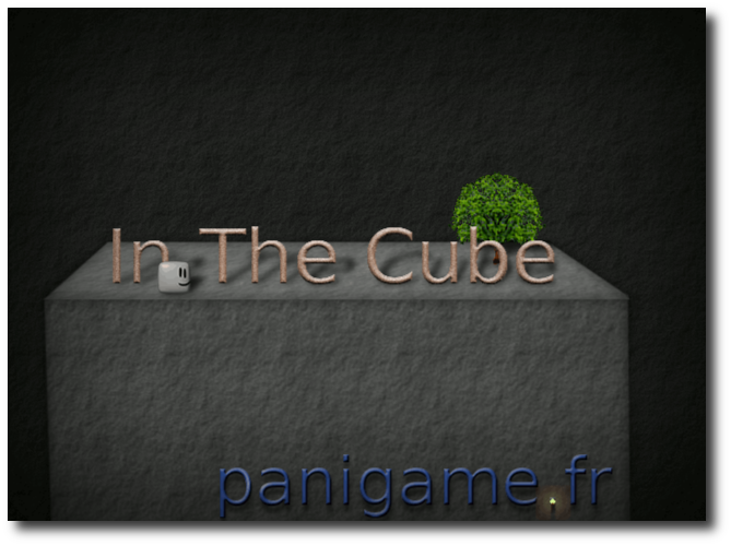 InTheCube