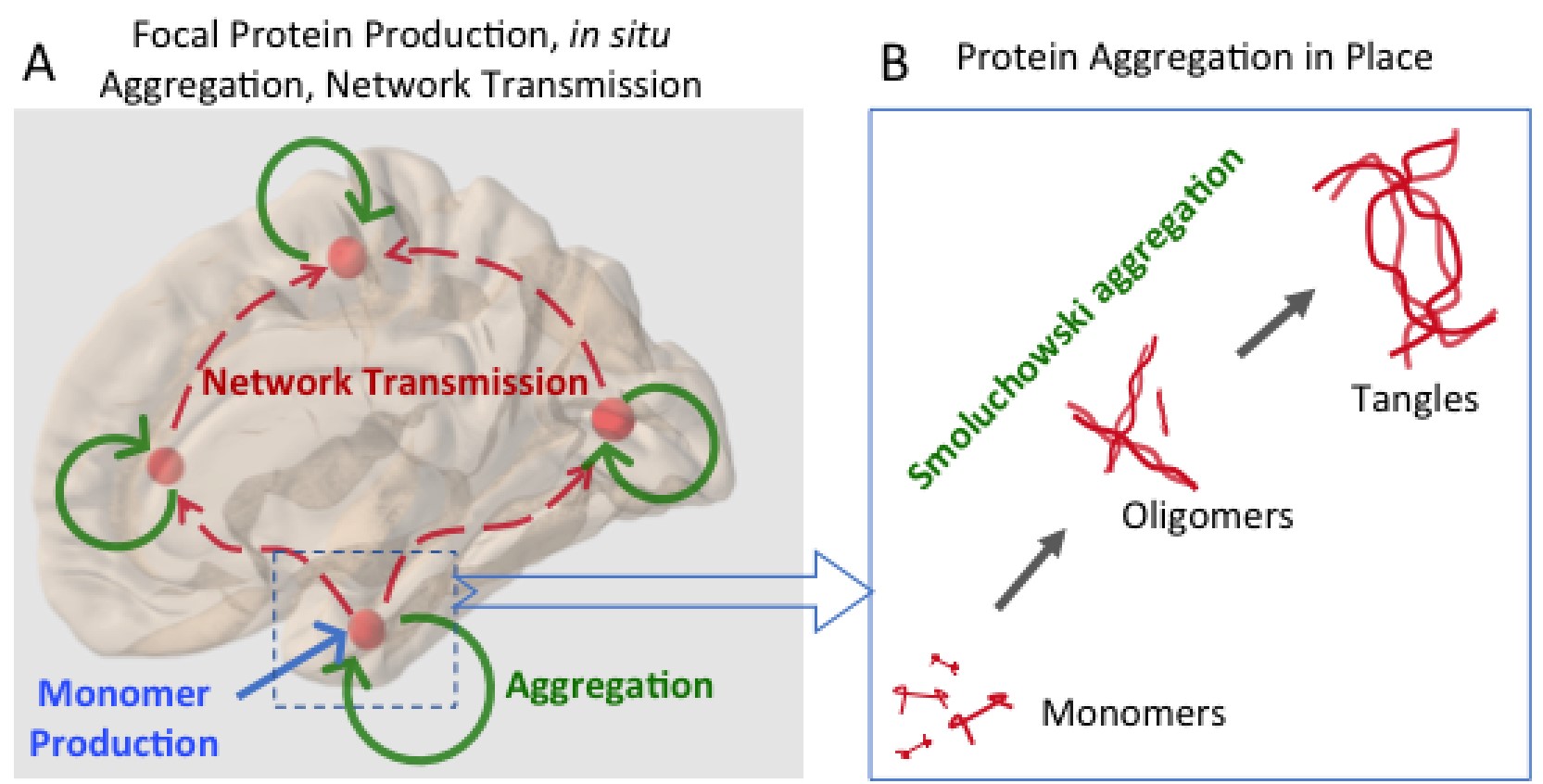 Aggregation-Network-Diffusion